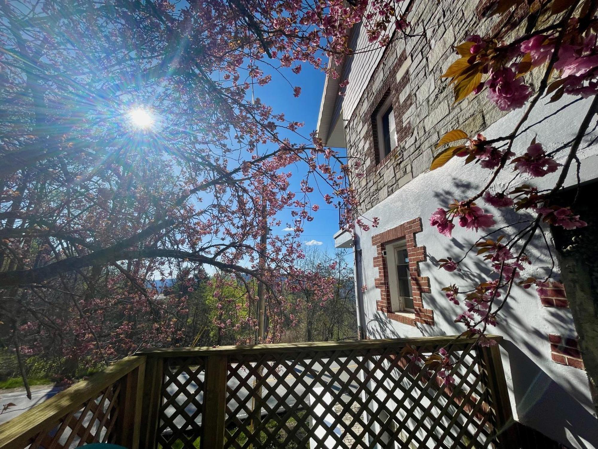 Inn Skyline Village Spruce Pine